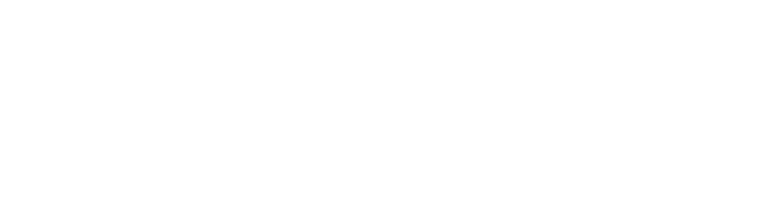 再びレタスしゃぶ